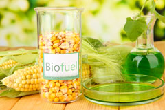 Nant Y Bwch biofuel availability